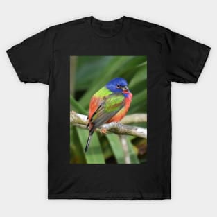 Painted Bunting Bird on Branch T-Shirt